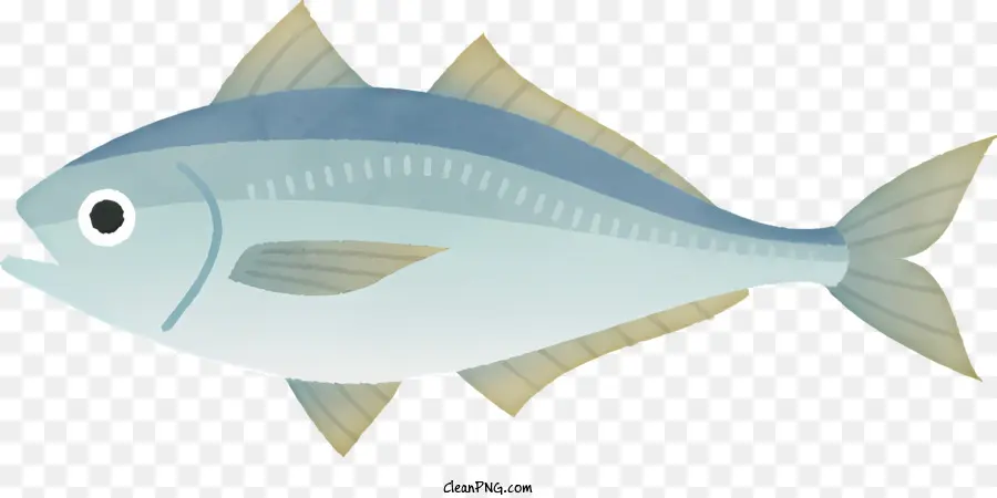 Desenho Animado，Peixe PNG