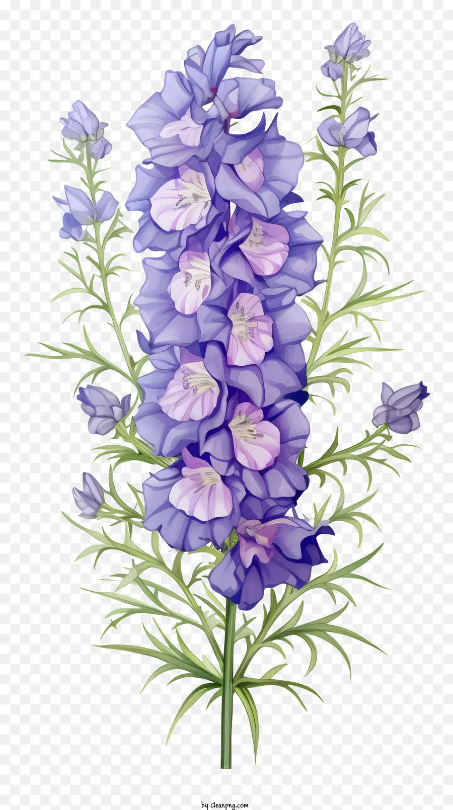 Flor Pastel Delphinium，Flor Azul PNG