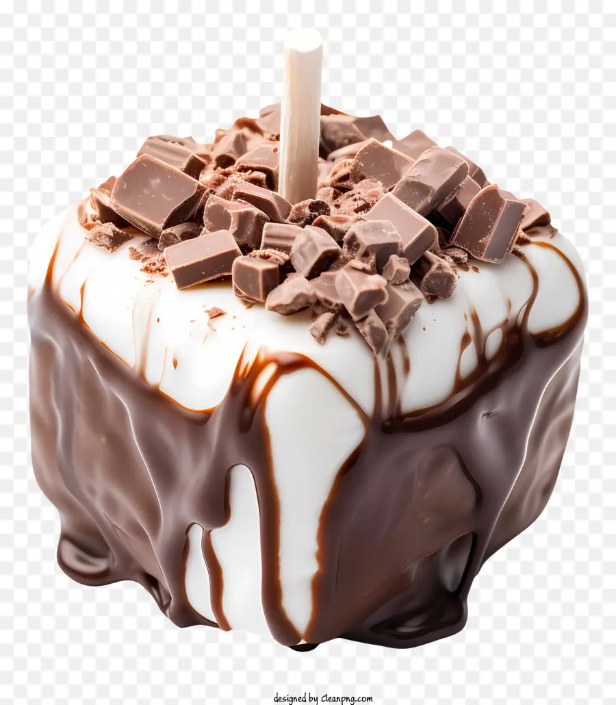 Dia De Qualquer Coisa Com Cobertura De Chocolate，Marshmallow Com Cobertura De Chocolate PNG