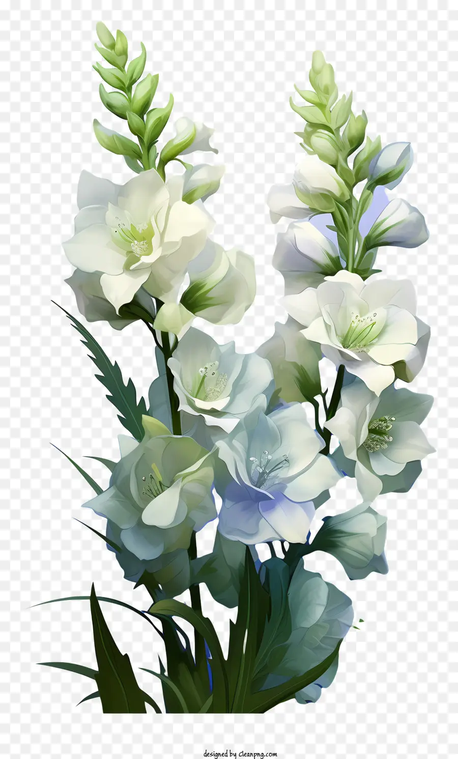Flor Elegante De Delphinium，Flores Brancas PNG