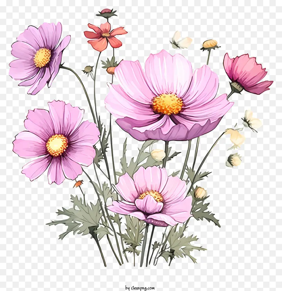 Doodle Flor Do Cosmos，Flores Do Cosmos PNG