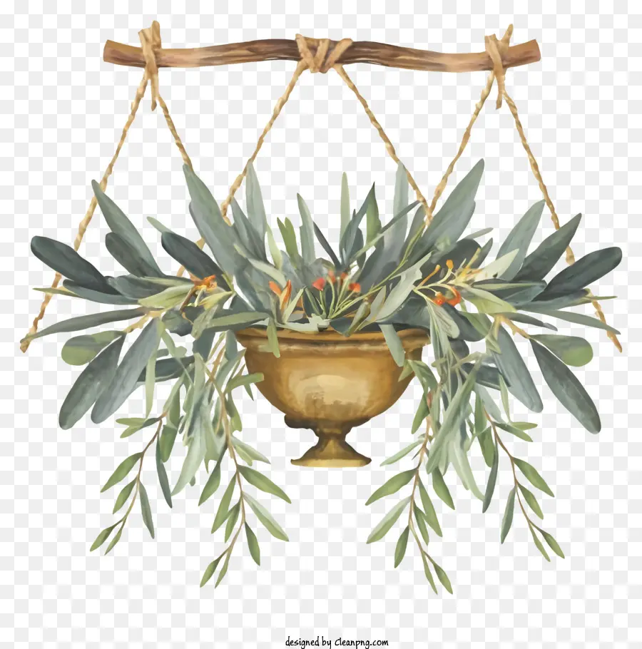 Cartoon，Olive Branch PNG