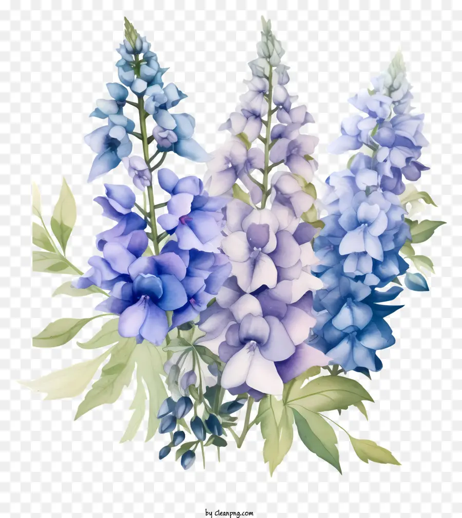 Delphinium Flower Art，Buquê PNG