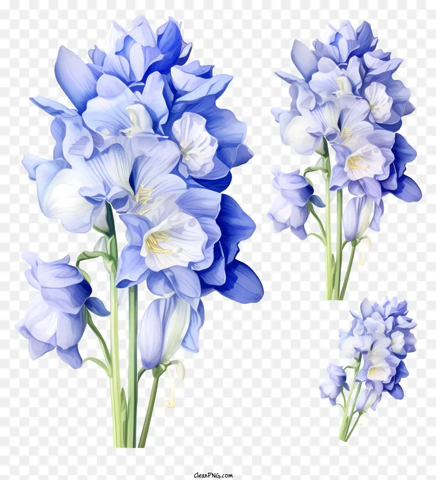 Doodle Delphinium Flower，Buquê PNG