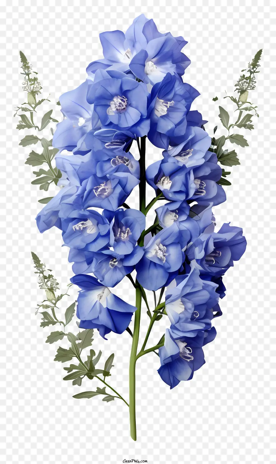 Bunco De Flor Delphinium，Flores Azuis PNG