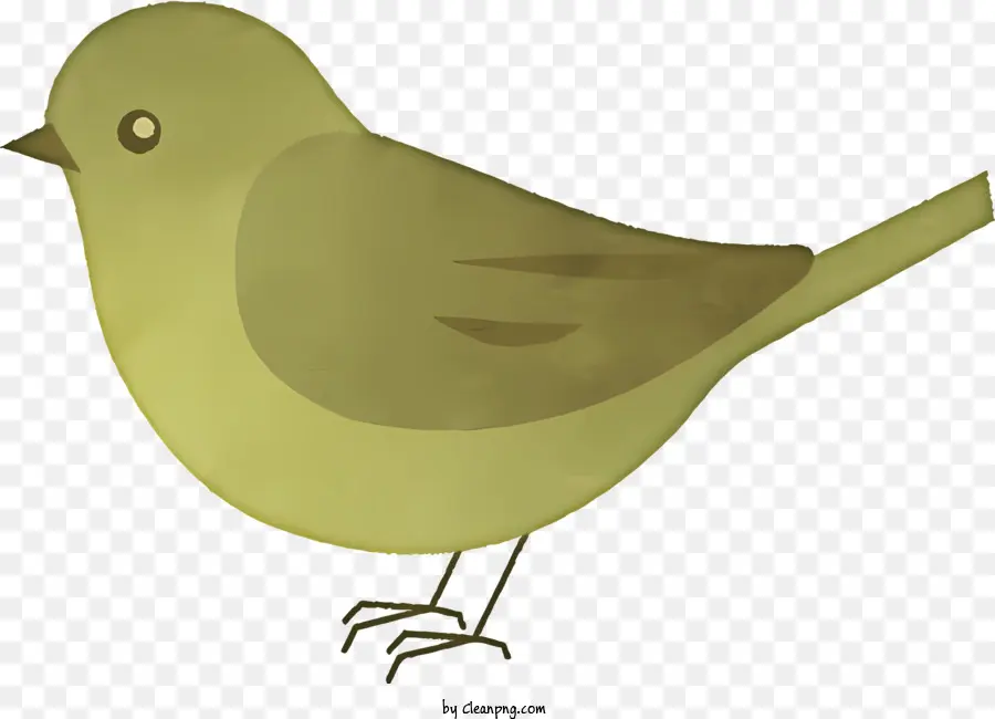 Cartoon，Pássaro Verde PNG