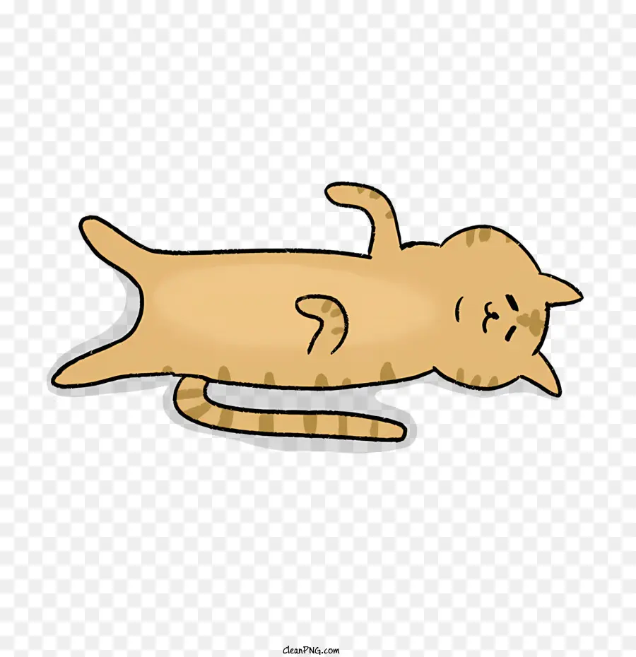 Cartoon，Gato PNG