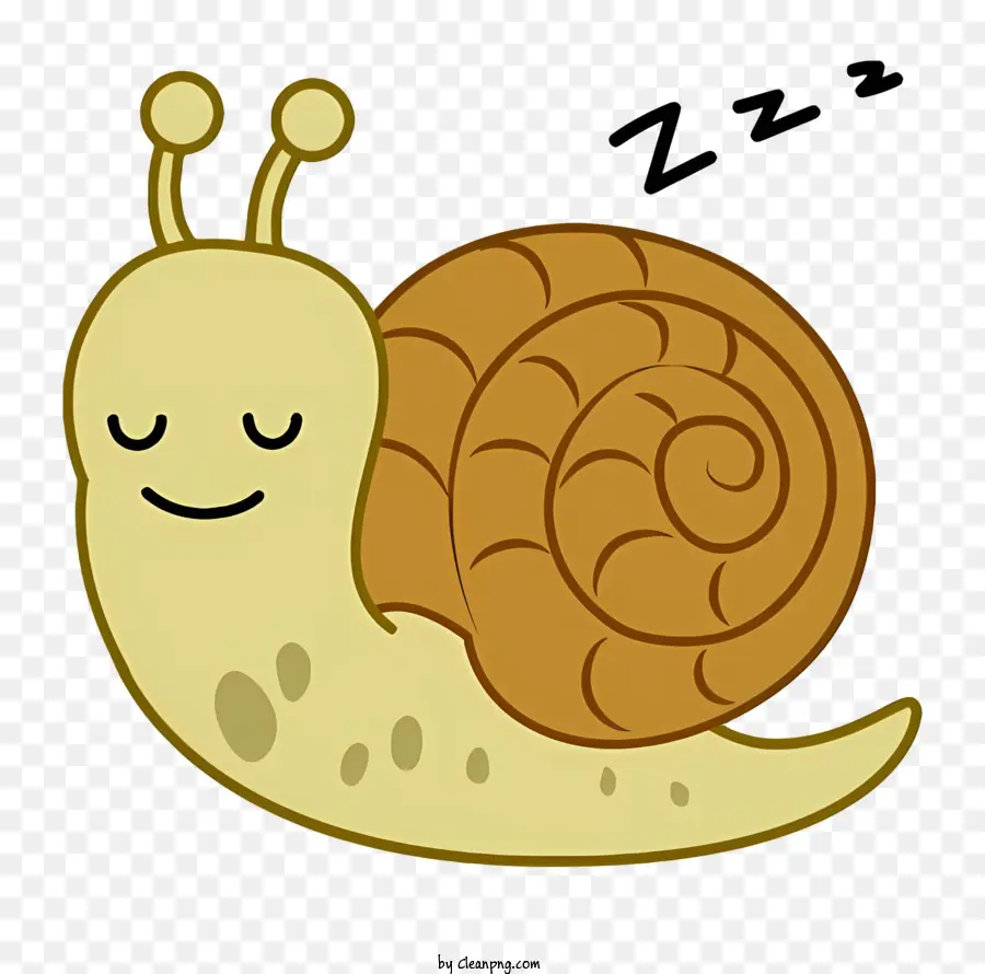 Cartoon，Caracol PNG