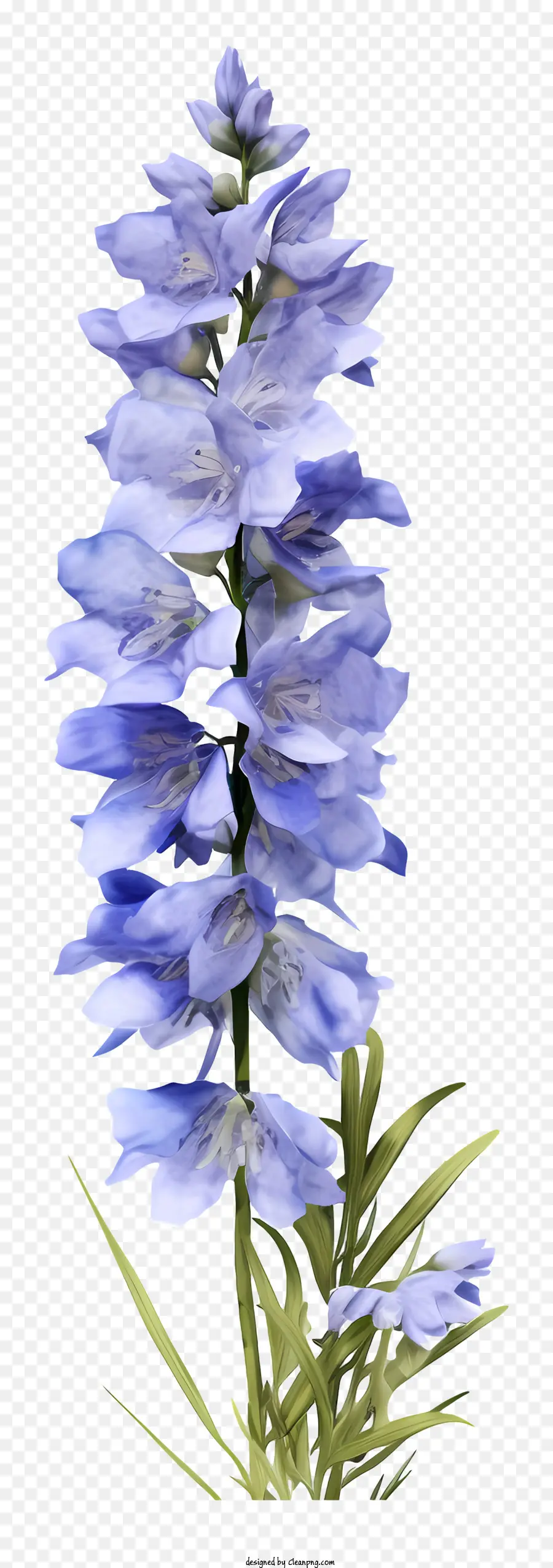 Flor Realista De Delphinium 3d，Flor Azul PNG