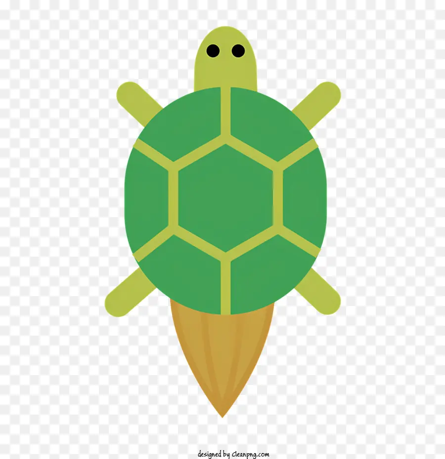 Cartoon，Turtle PNG