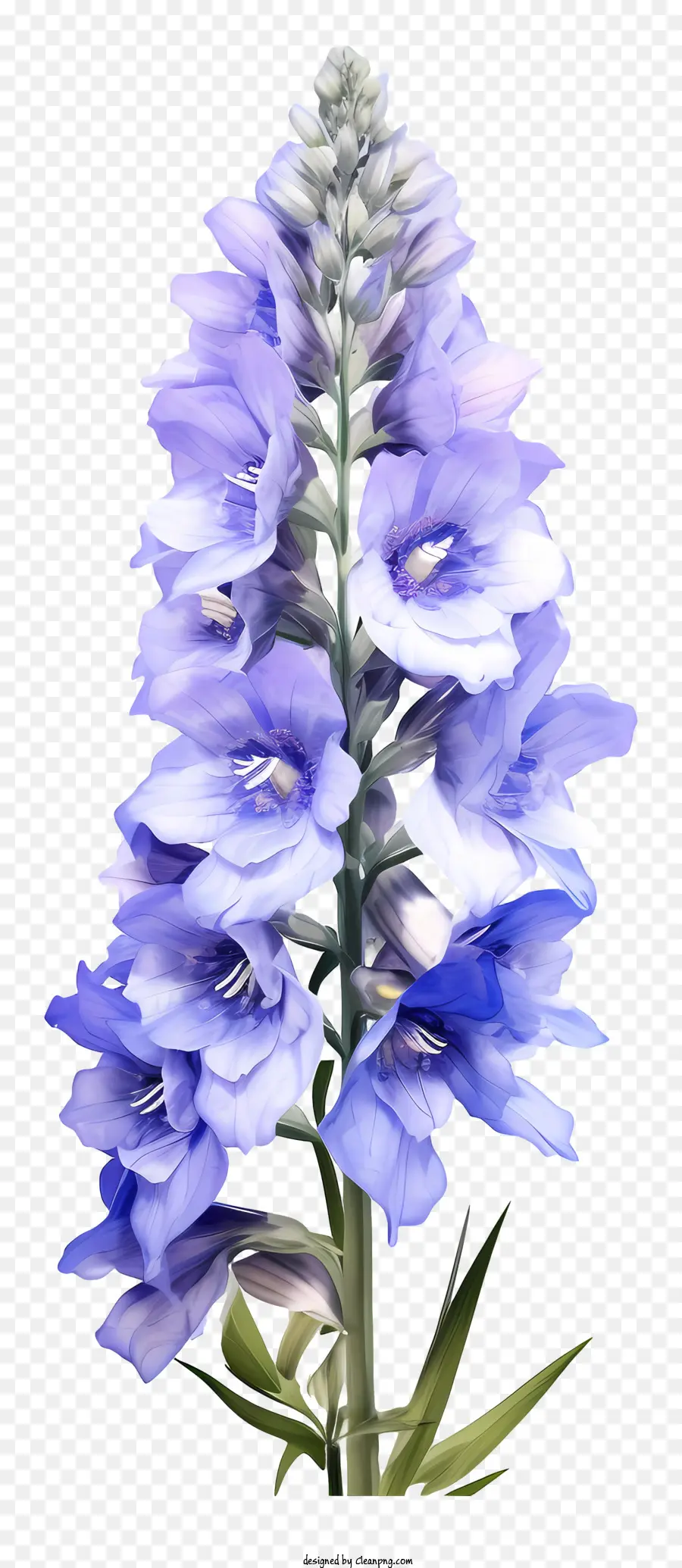Flor Realista De Delphinium 3d，Flor Azul PNG