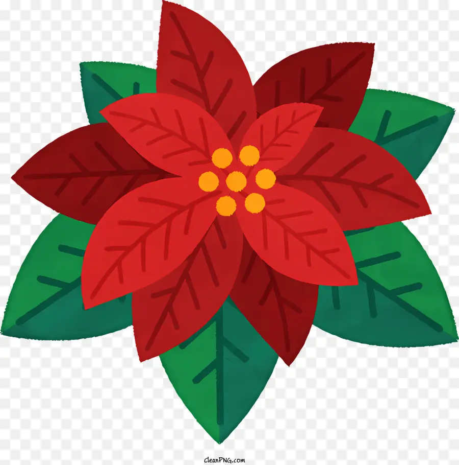 Cartoon，Flor Vermelha Da Poinsettia PNG