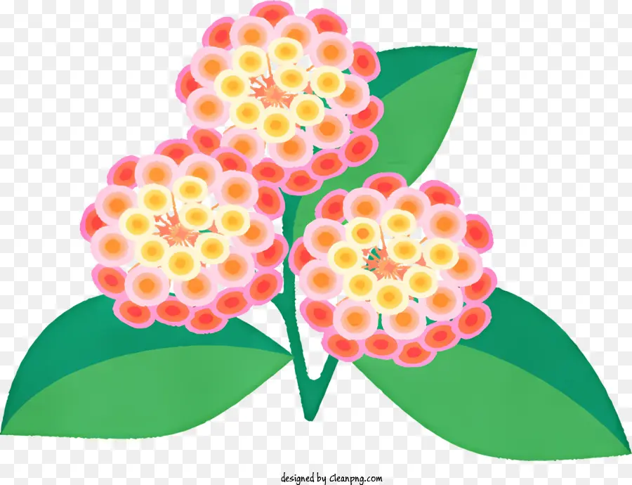 Desenho Animado，Flores Cor De Rosa PNG