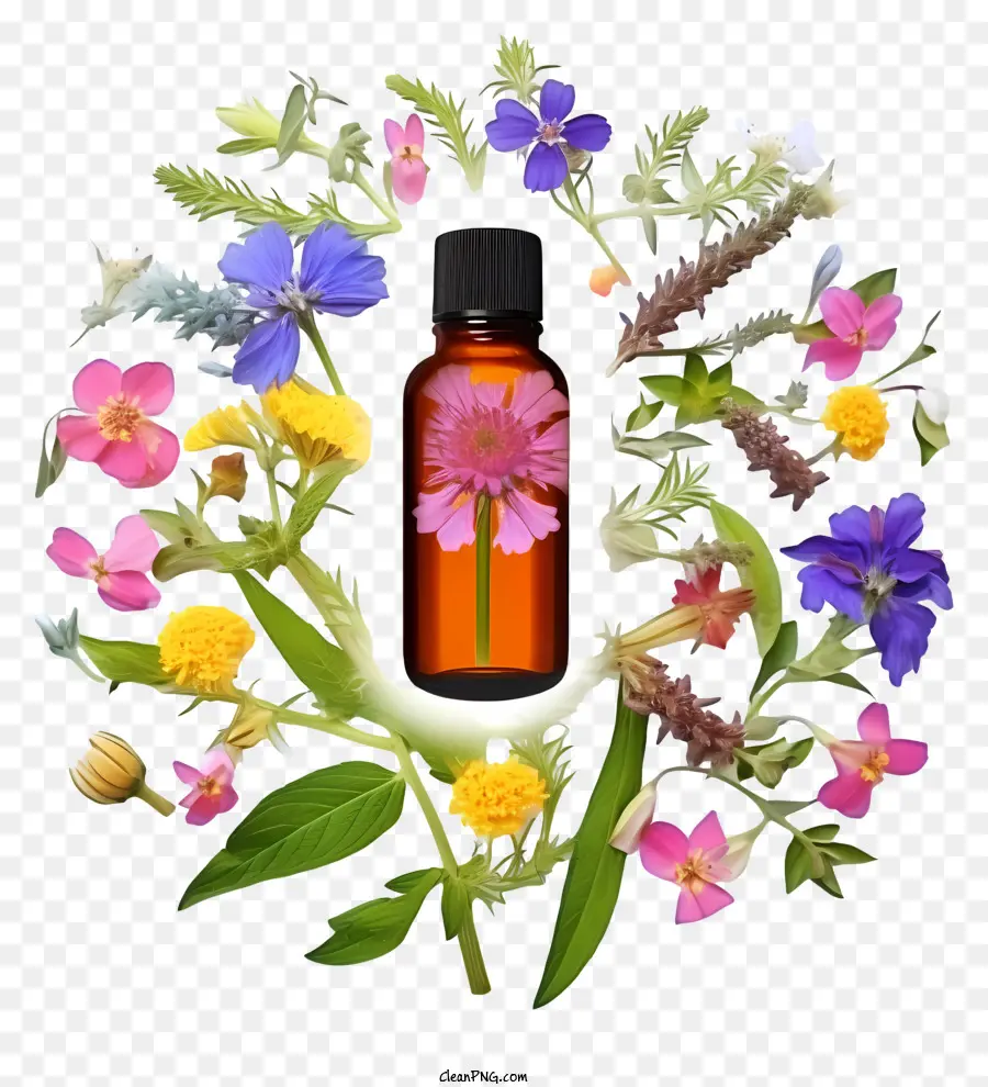 Terapia Realista De Essências De Flores，óleos Essenciais PNG