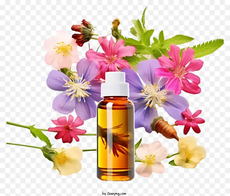 Terapia Realista De Essências De Flores，óleo Essencial De Garrafa PNG