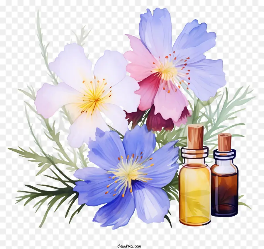 Terapia De Essências De Flores Em Aquarela，Flores PNG