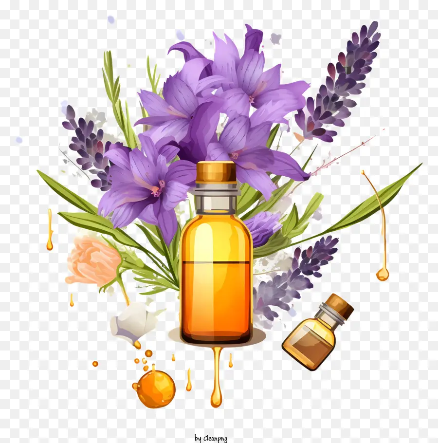 Esboçar Terapia Essência Das Flores，óleo Essencial PNG