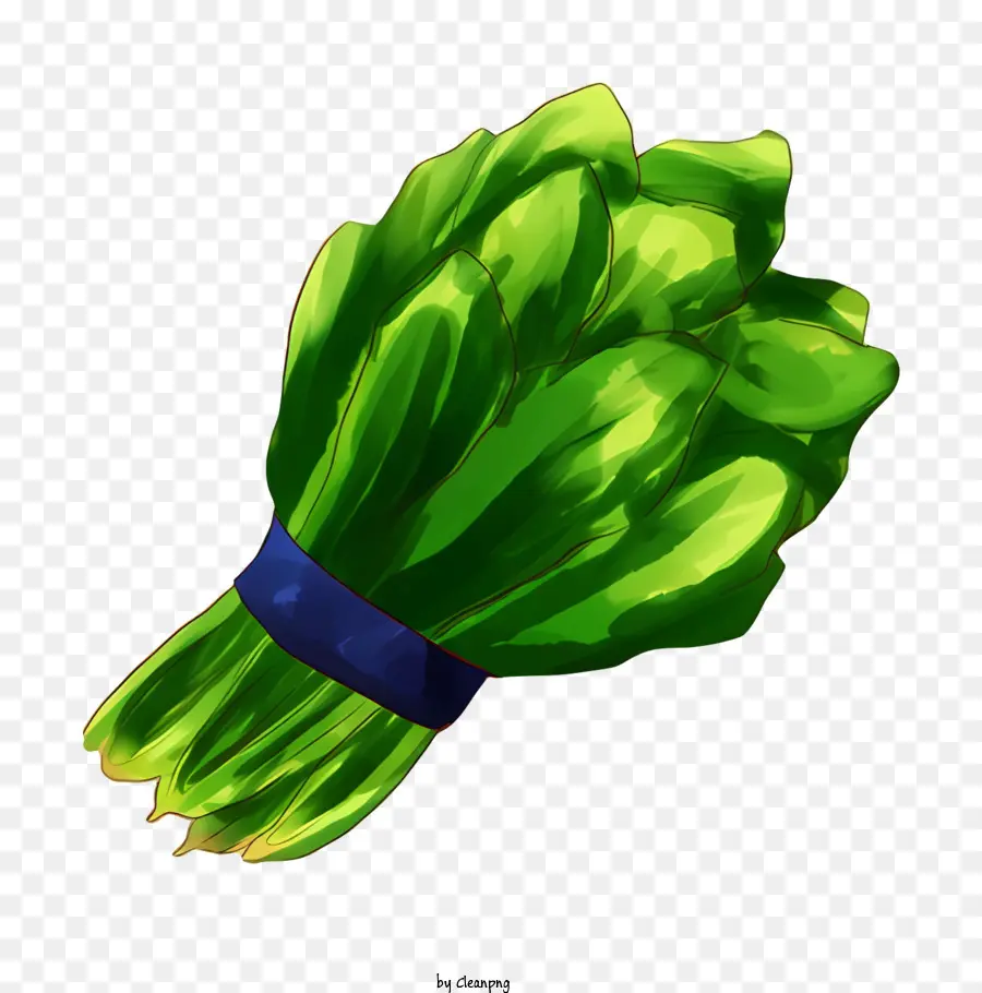 Desenho Animado，Legumes Verdes PNG