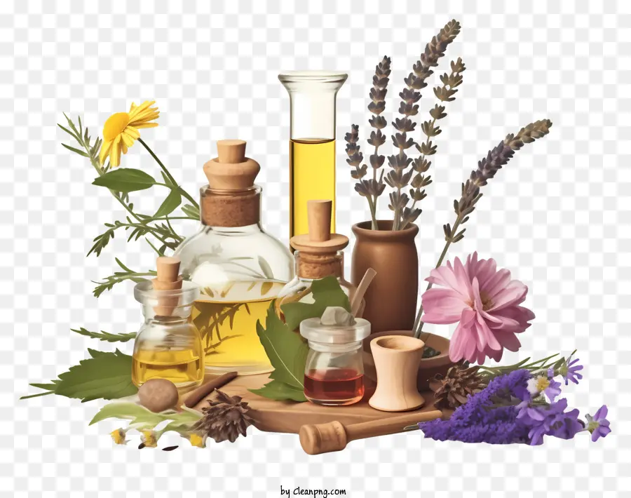 óleos Essenciais，Herbs PNG