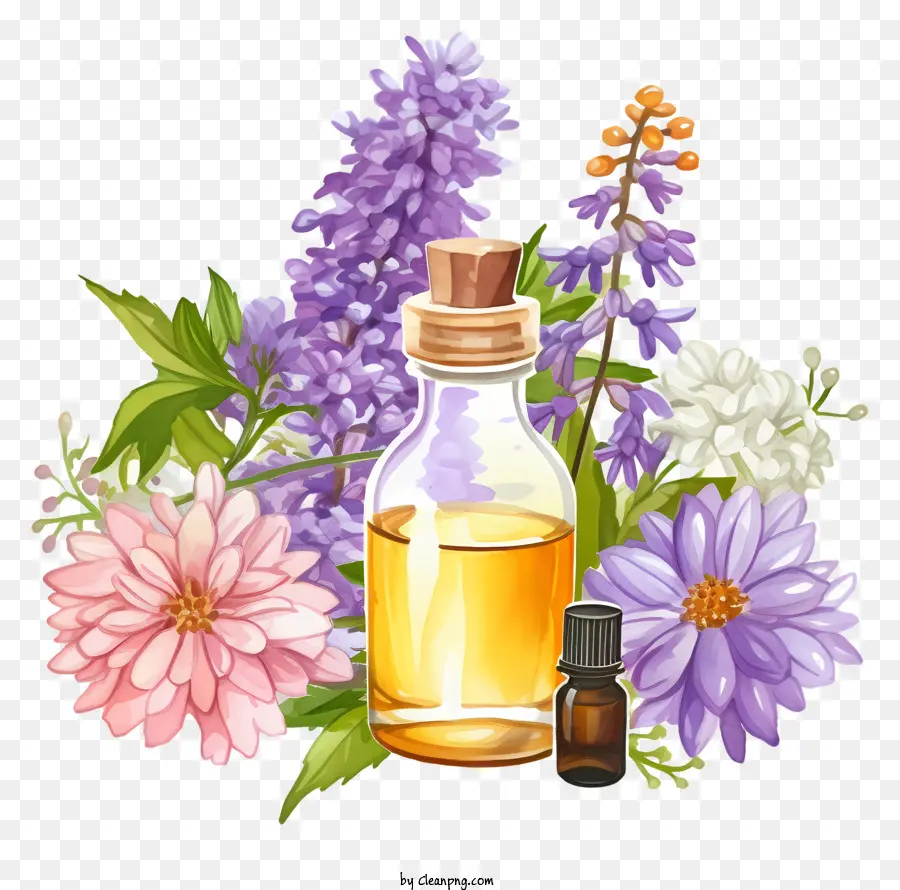 Terapia De Essências De Flores Desenhadas à Mão，óleo Essencial PNG