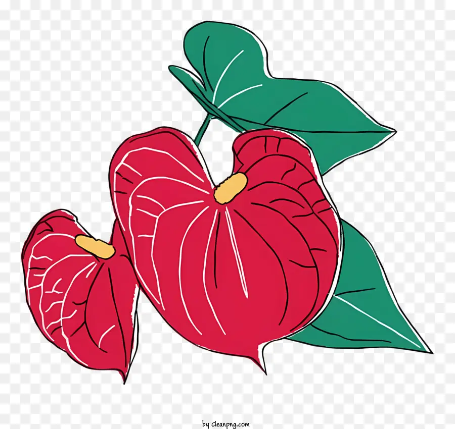 Cartoon，Flor Vermelha De Antúrio PNG