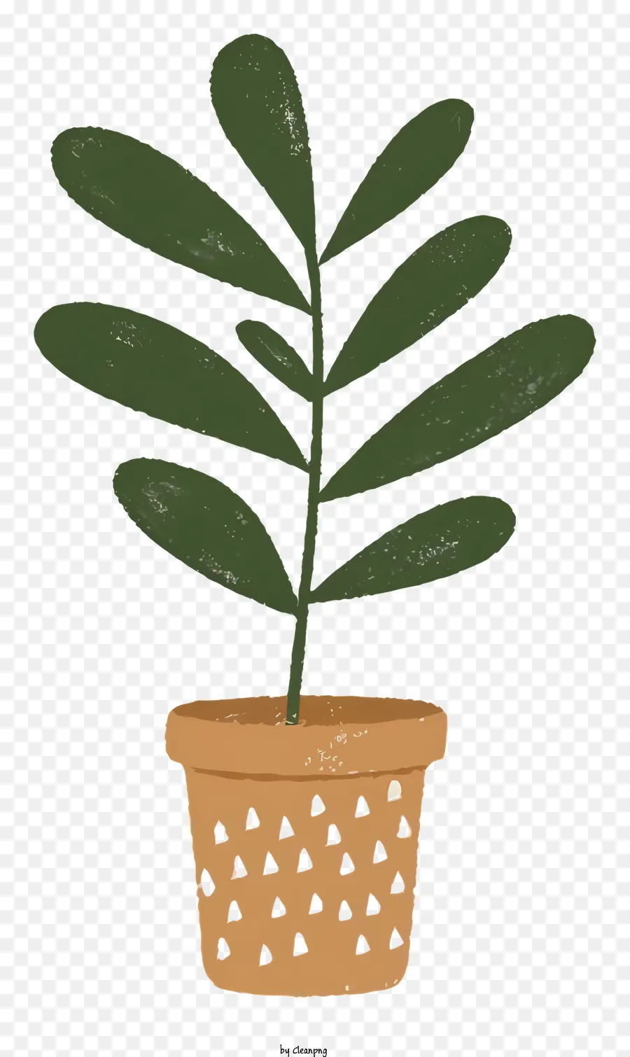 Cartoon，Pequena Planta PNG