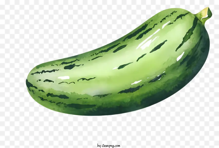 Cartoon，Pepino PNG