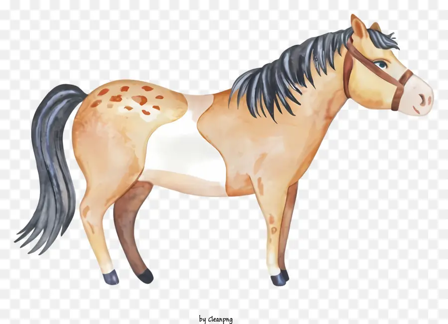 Desenho Animado，Cavalo PNG