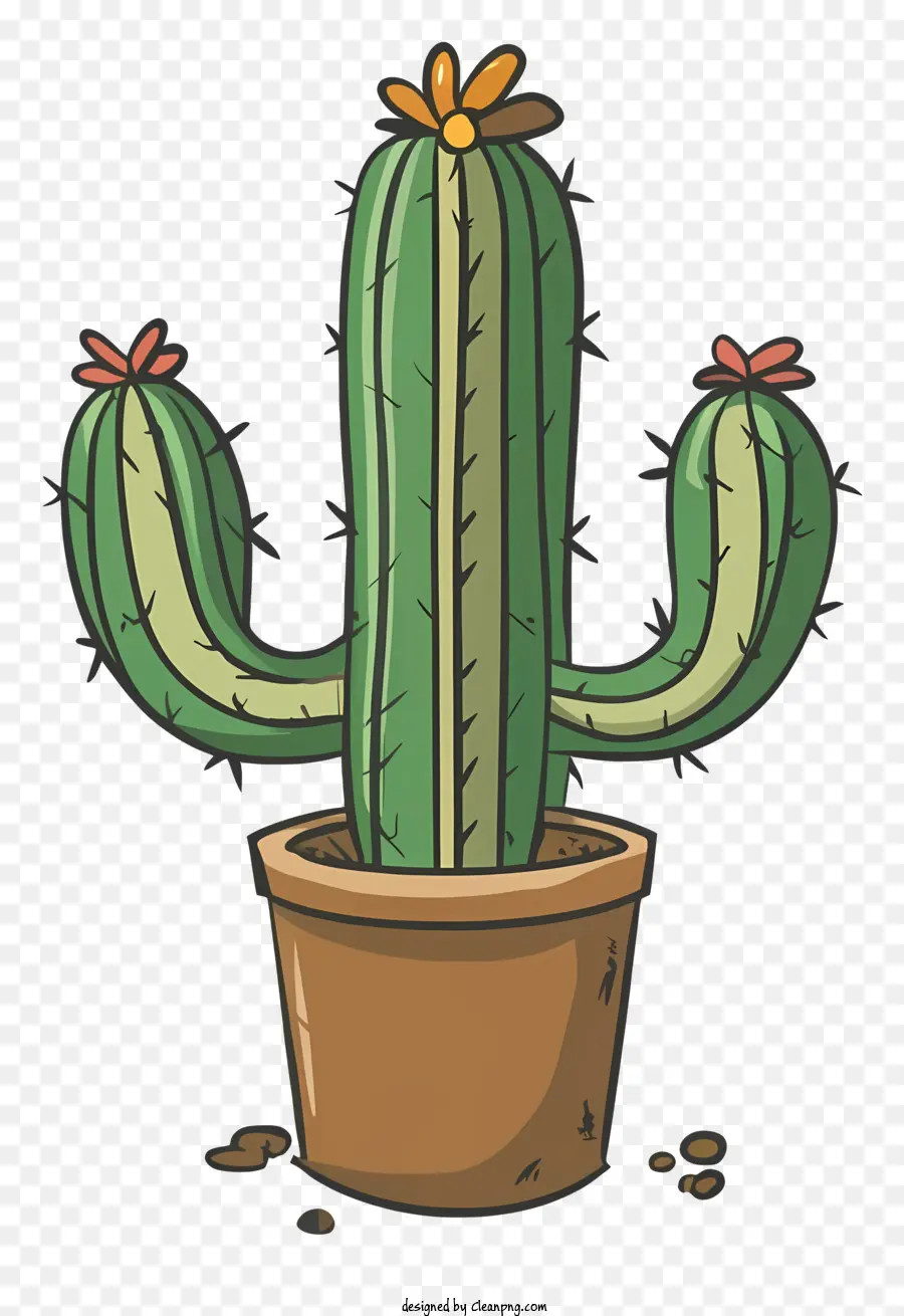 Cartoon，Cactus PNG