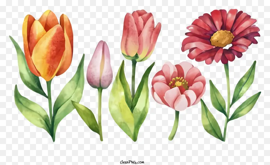 Cartoon，Aquarela Flores PNG