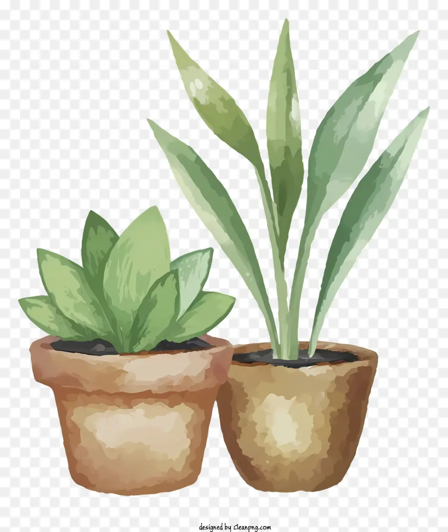 Cartoon，Vasos De Plantas PNG