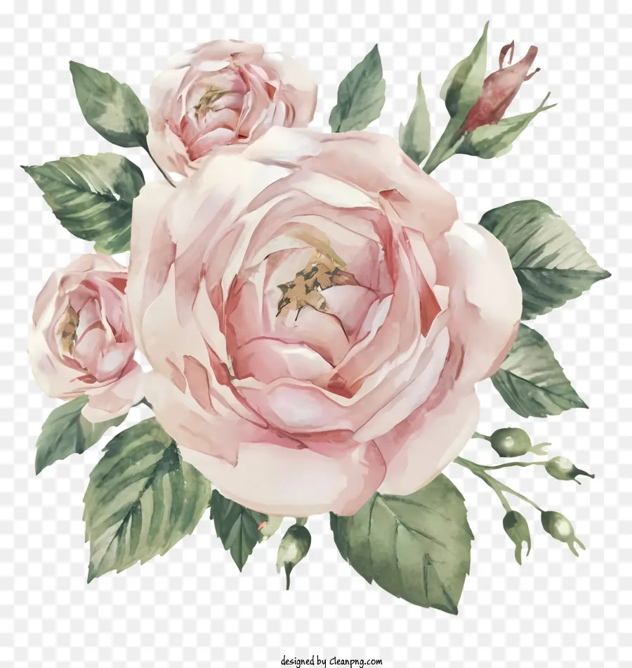 Cartoon，Pintura De Rosas PNG