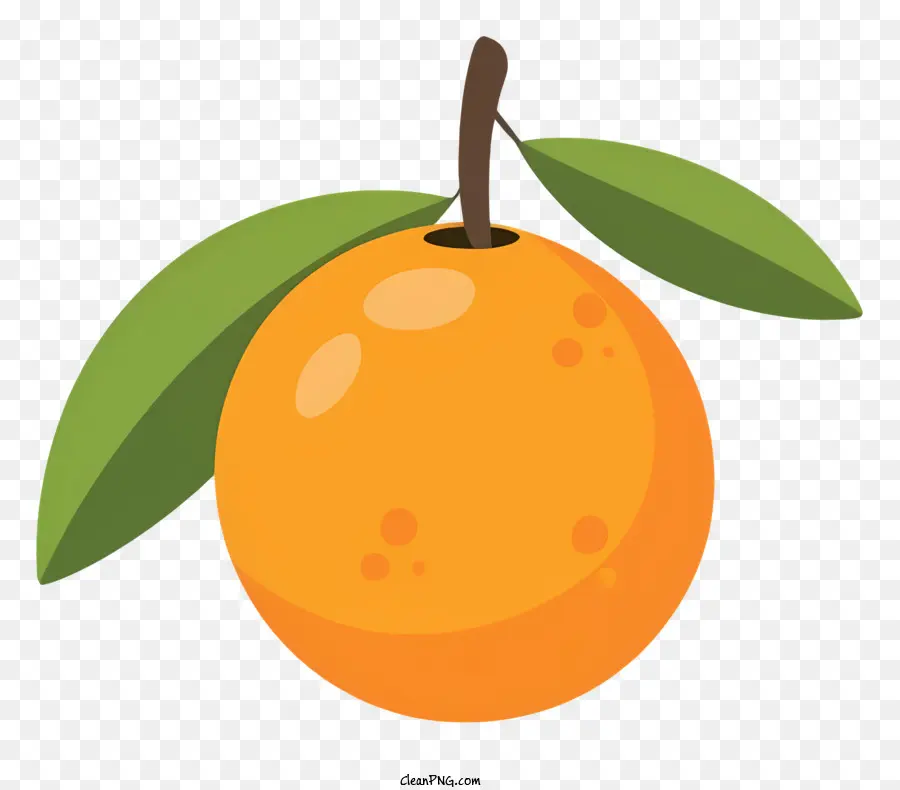 Cartoon，Laranja Madura PNG