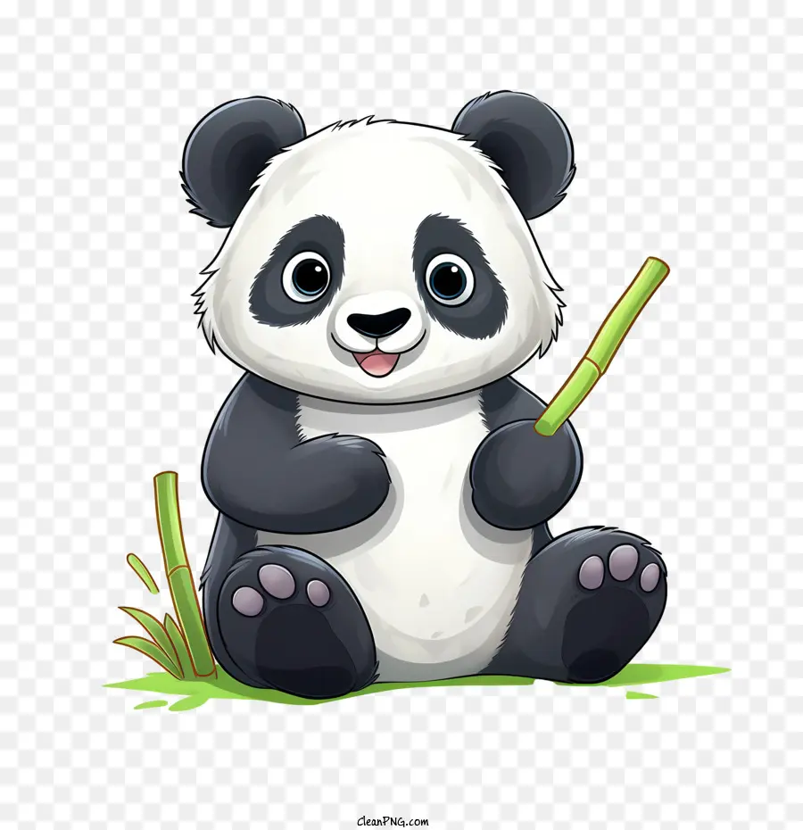 Panda Bonito，Panda PNG