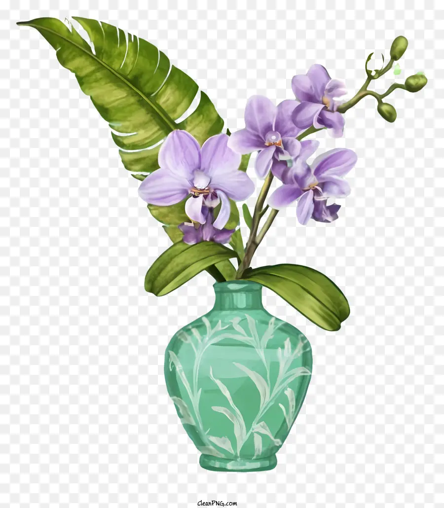 Cartoon，Orquídeas PNG