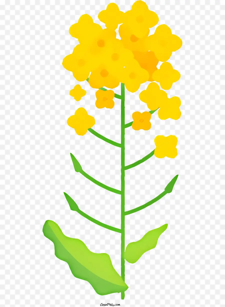 Cartoon，Planta Com Flores Amarelas PNG