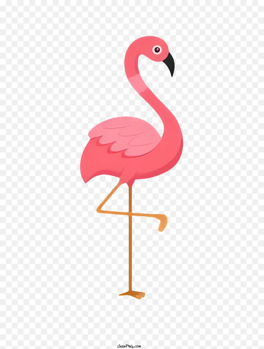 Praia，Cor De Rosa Flamingo PNG