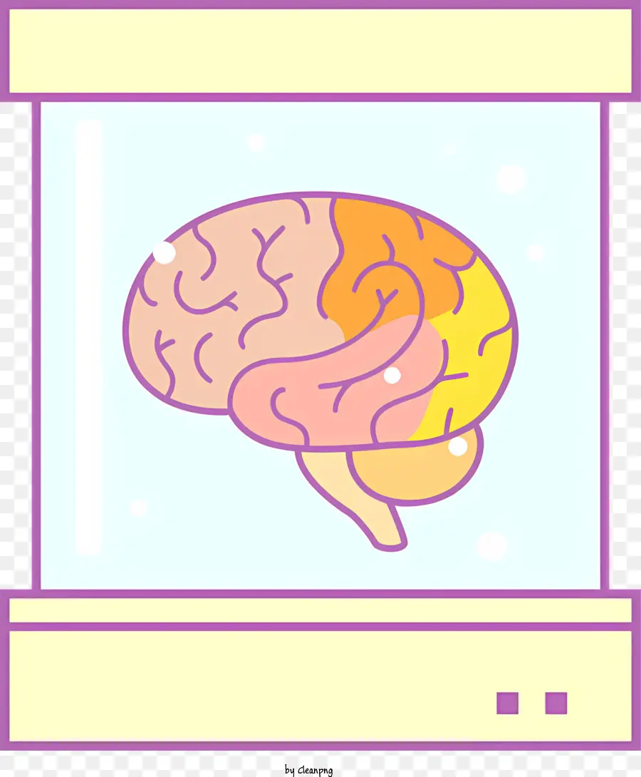 Médico，Cérebro Diagrama De PNG