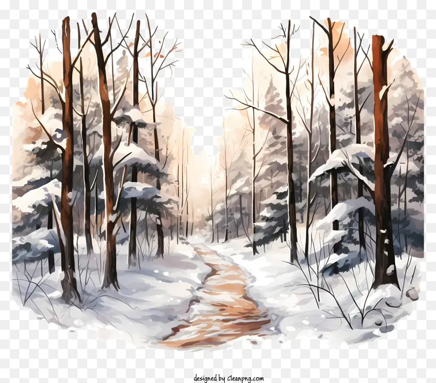 Caminho De Inverno，Pintura De Paisagem De Inverno PNG