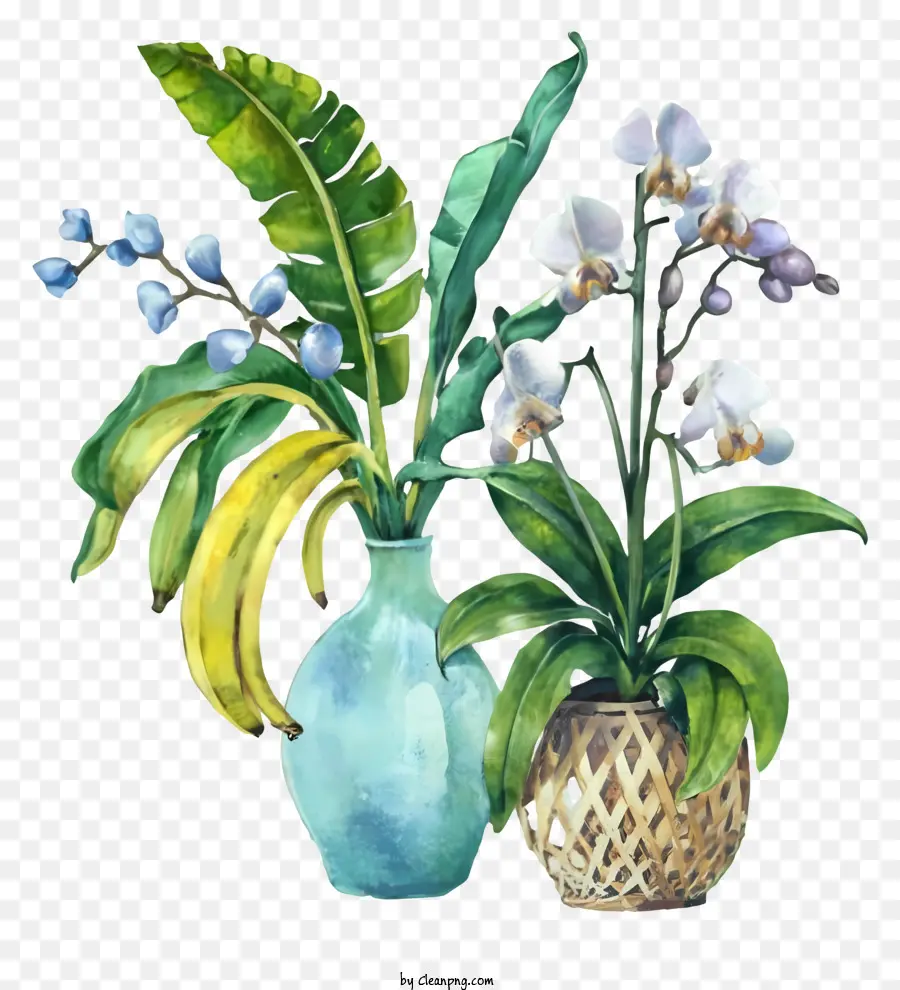 ícone，Vasos De Plantas PNG