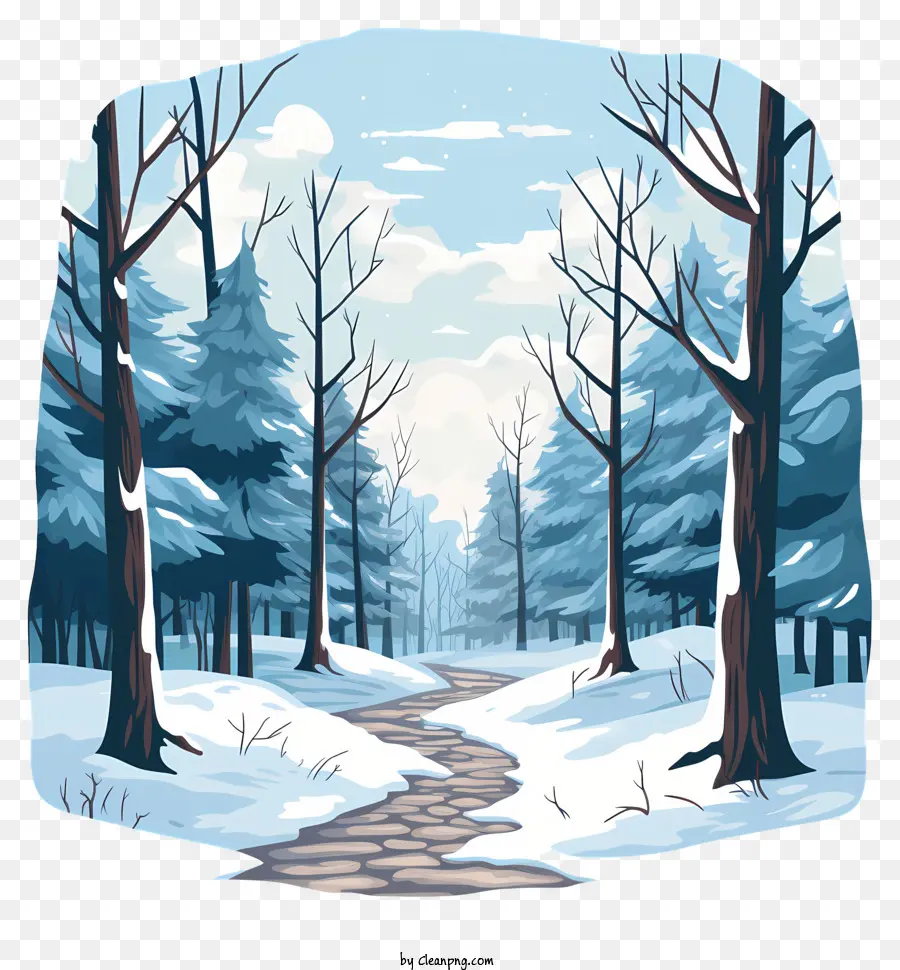 Caminho De Inverno，Floresta Coberta De Neve PNG