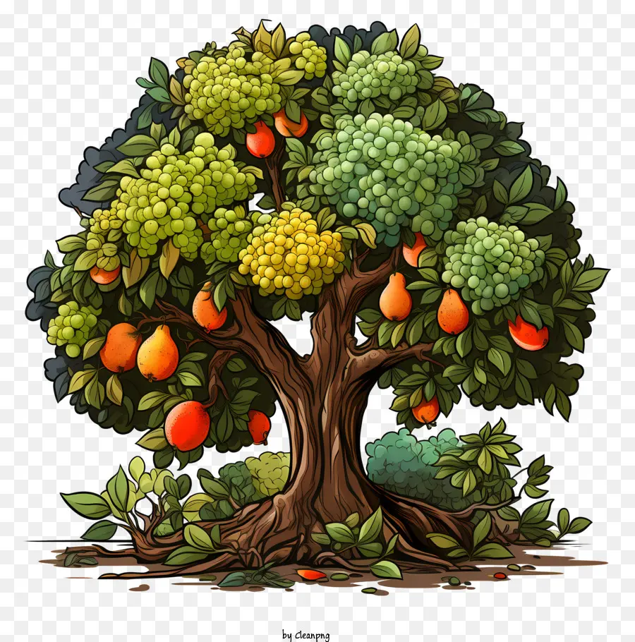 árvore De Fruto，árvore PNG