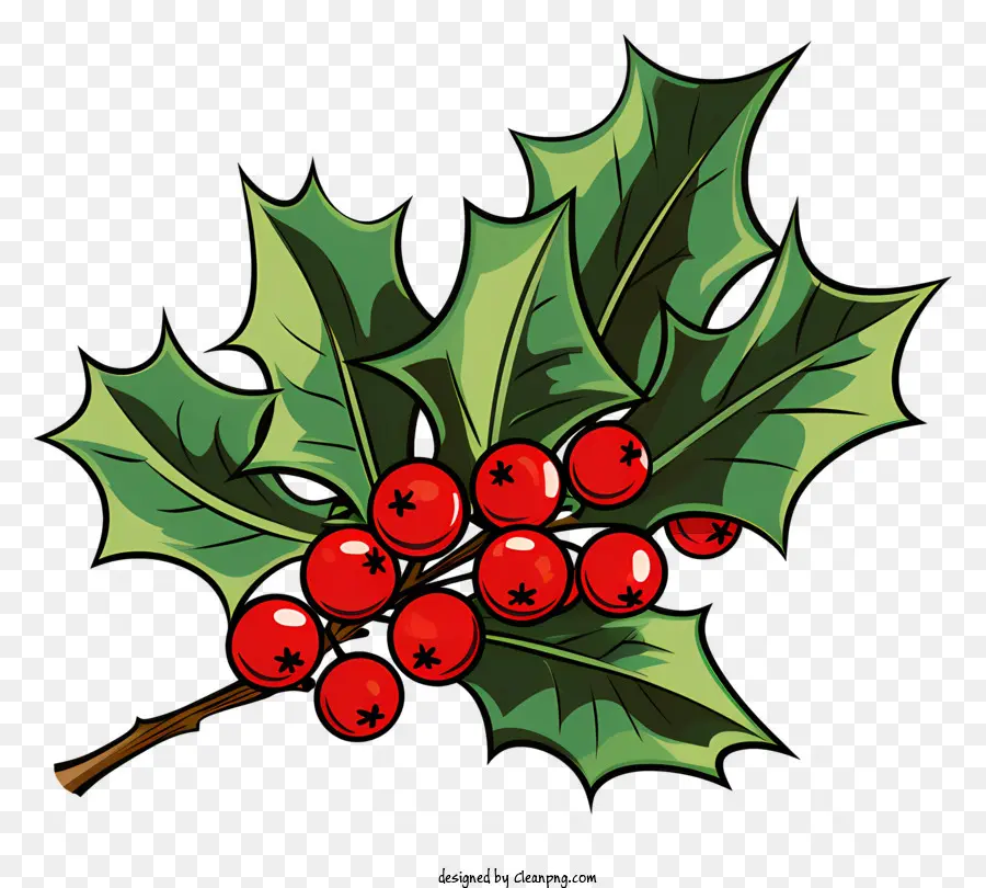 Natal Holly，Holly Folha PNG