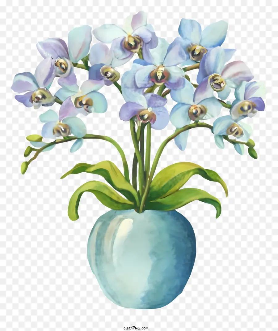 Cartoon，Orquídeas Em Aquarela PNG