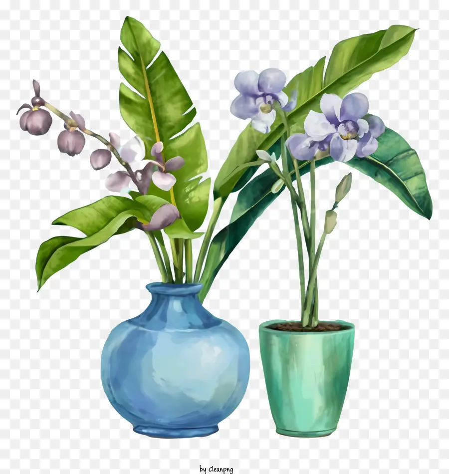 Cartoon，Vasos De Plantas PNG