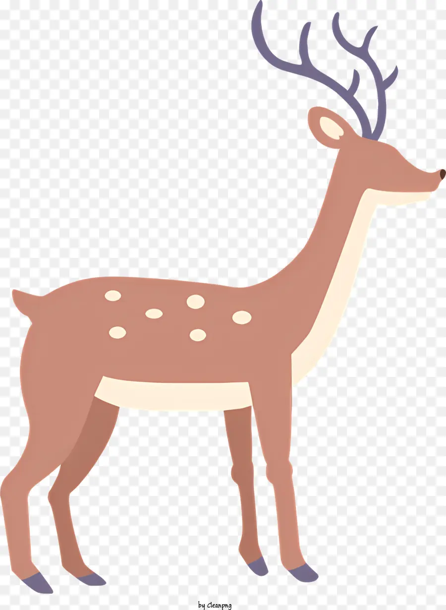 Deer，Os Chifres De PNG