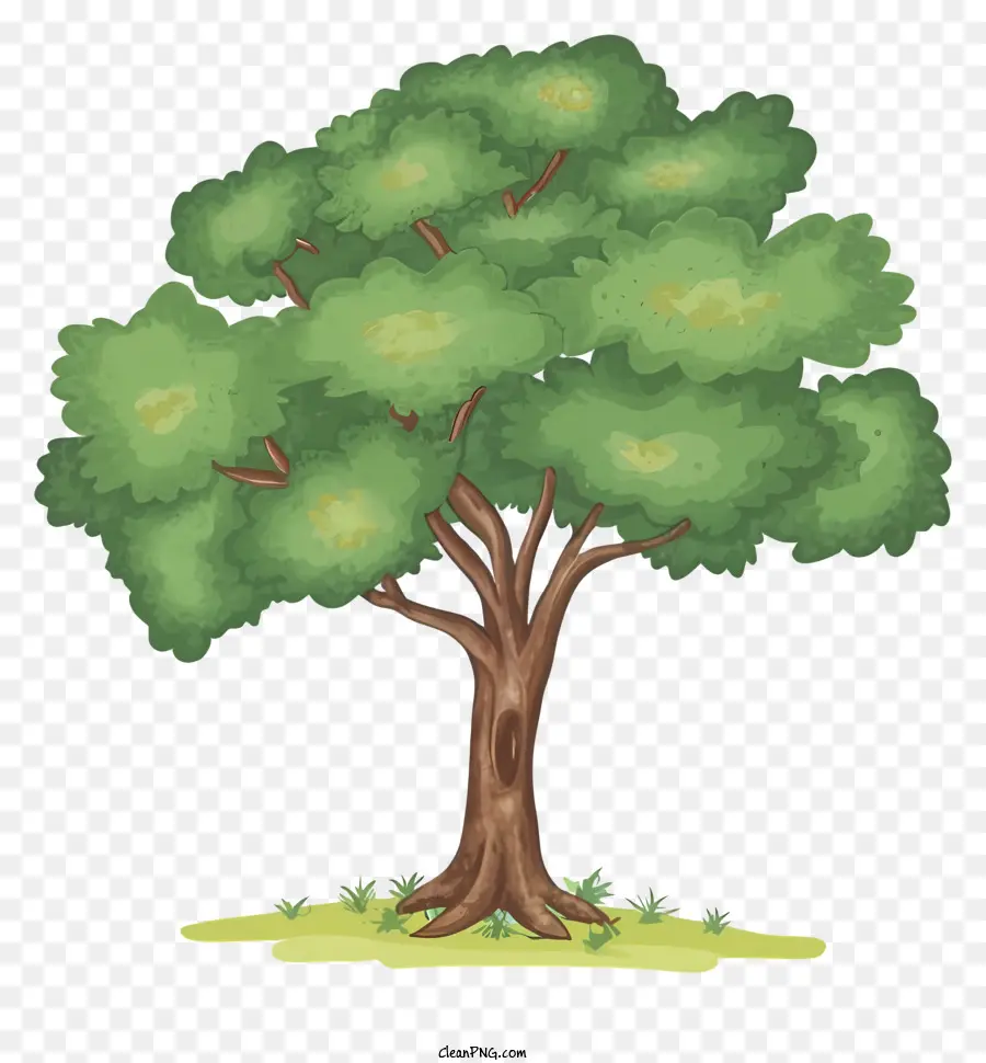 Cartoon，Cartoon árvore PNG