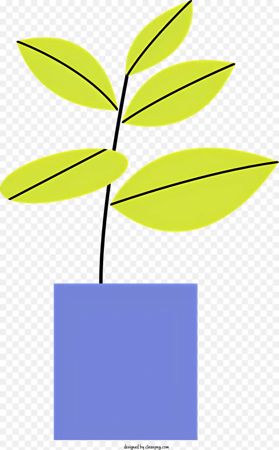 Planta De Vaso，Recipiente Azul PNG