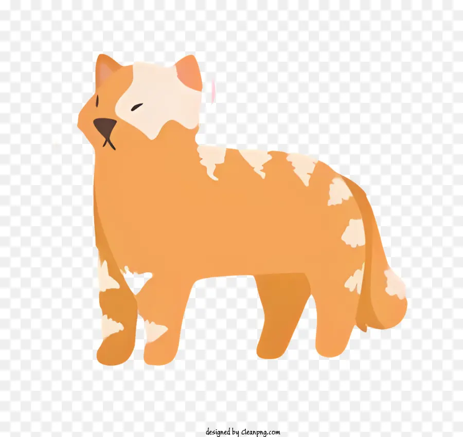 Gato Preto，Gato Laranja Fofo PNG