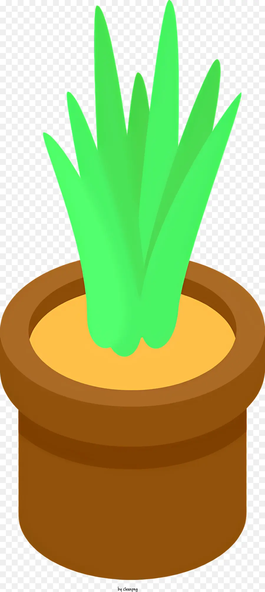 Planta Em Vaso，Folhas Verdes PNG